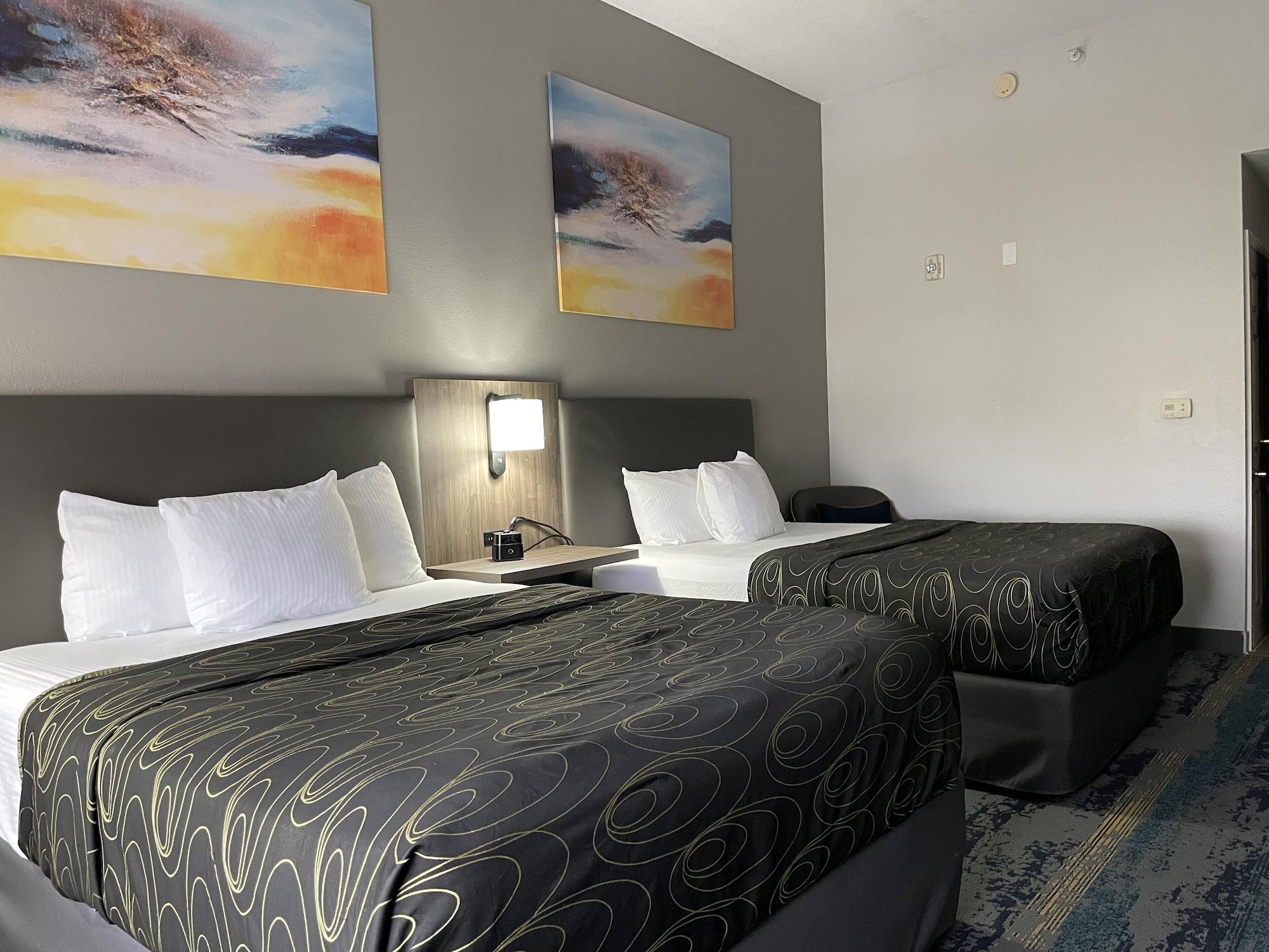 La Quinta By Wyndham Tampa Central Ngoại thất bức ảnh